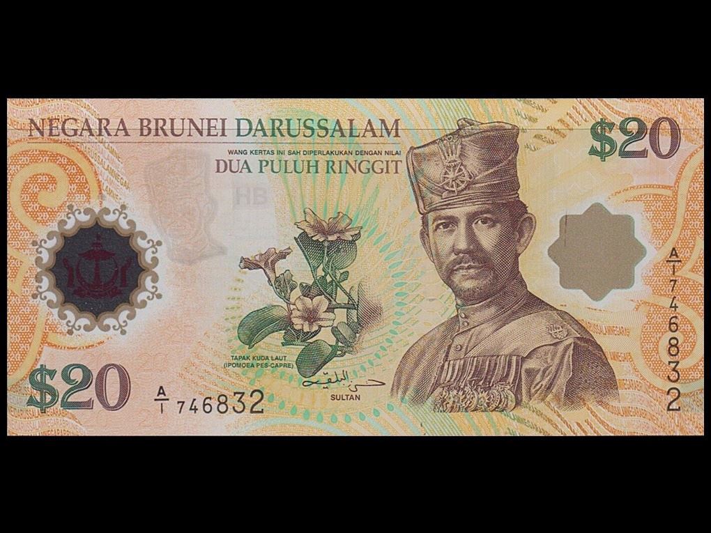 ��糪��(P-34) 2007�� 20 ���� ������(��ȣ��ȭ��ȯ 40�ֳ�) �̻��