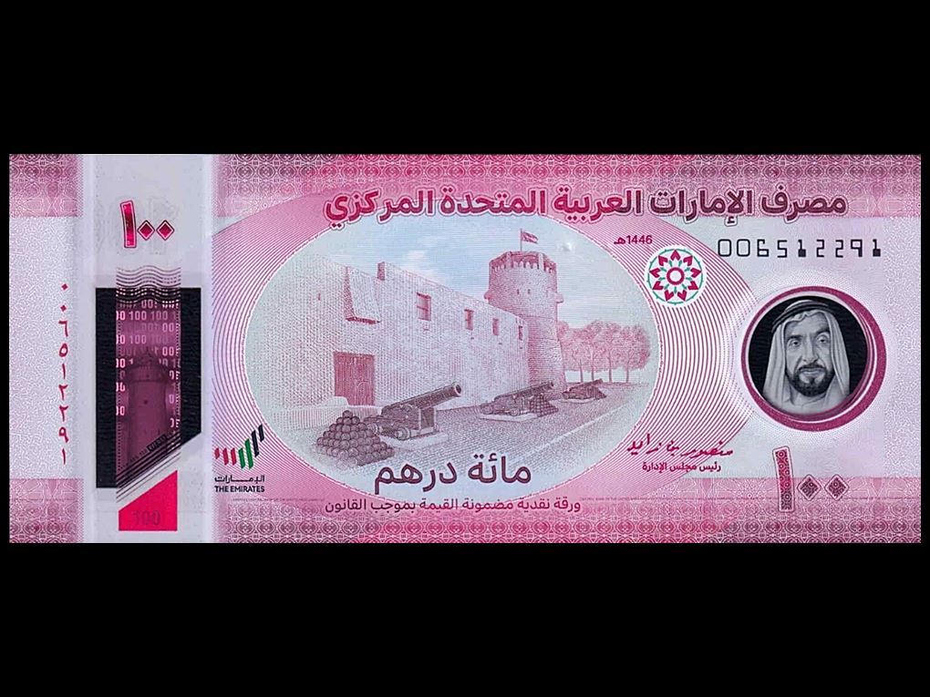 ƶ̸Ʈ(P-40) 2025 100   ̻